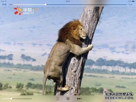 華數(shù)TVHD iPad版