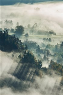 清晨大霧風(fēng)景壁紙