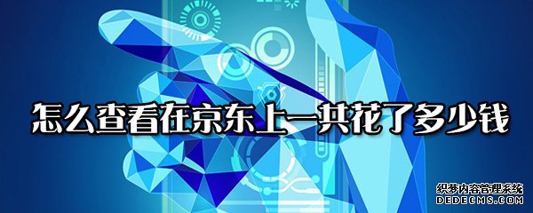 怎么查察在京東上一共花了幾多錢(qián)