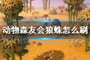 《集合啦動物森友會》狼蛛怎么刷？刷狼蛛技巧心得詳解