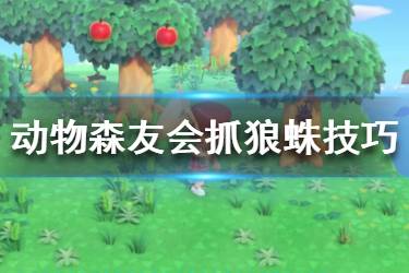 《集合啦動物森友會》狼蛛在哪里捉？狼蛛島抓狼蛛技巧