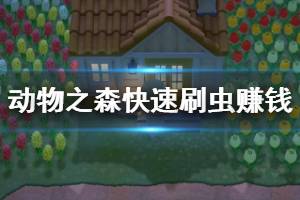 《集合啦動物森友會》怎么快速刷錢？快速刷蟲賺錢技巧