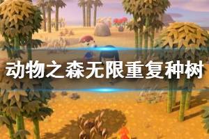 《集合啦動物森友會》怎么重復種樹？無限重復種樹思路解析