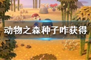 《集合啦動物森友會》種子怎么獲得 種子獲取方法一覽