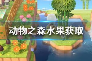 《集合啦動物森友會》水果怎么獲得 水果獲取方法介紹