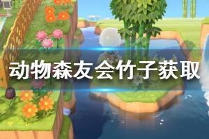 《集合啦動物森友會》竹子怎么獲得 竹子獲取方法介紹