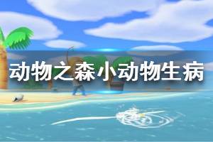 《集合啦動物森友會》小動物生病了怎么辦 小動物生病解決辦法介紹