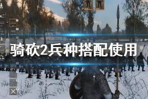 《騎馬與砍殺2》兵種怎么搭配？兵種搭配使用技巧