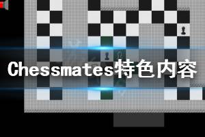 《Chessmates》好玩嗎 游戲特色內(nèi)容介紹