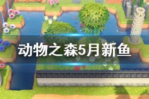 《集合啦動物森友會》5月新魚有哪些 5月新魚種類一覽