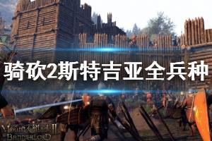 《騎馬與砍殺2》斯特吉亞全兵種裝備優(yōu)缺點分析 各兵種裝備怎么樣？