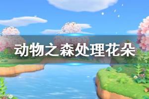 《集合啦動物森友會》花太多怎么辦 花太多處理方法介紹