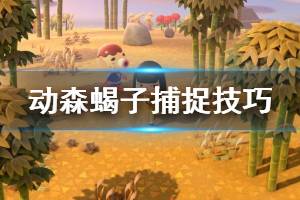 《集合啦動物森友會》怎么抓蝎子 蝎子捕捉技巧介紹