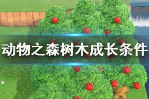 《集合啦動物森友會》樹木如何成長 樹木成長條件介紹