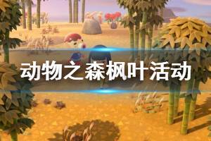 《集合啦動物森友會》楓葉活動什么時候開始 楓葉活動內(nèi)容介紹