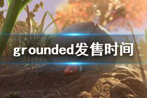 《Grounded》什么時候發(fā)布 游戲發(fā)售時間介紹