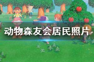 《集合啦動物森友會》居民照片怎么獲得 居民照片獲取幾率說明