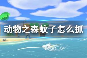 《集合啦動物森友會》蚊子怎么抓 特殊昆蟲捕捉方法一覽