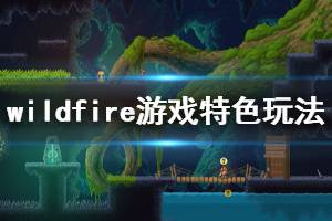 《Wildfire》游戲怎么樣？游戲特色玩法簡單介紹