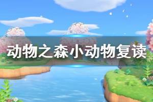 《集合啦動物森友會》小動物復讀怎么辦 小動物復讀解決辦法介紹