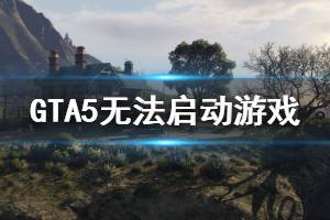 《GTA5》無法啟動(dòng)游戲怎么辦 無法啟動(dòng)游戲解決方法介紹