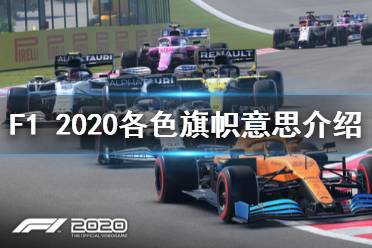 《F1 2020》黃旗是什么意思 各顏色旗幟意思介紹