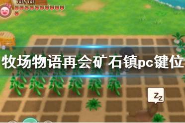 《牧場(chǎng)物語再會(huì)礦石鎮(zhèn)》pc鍵位操作一覽 pc版怎么操作？