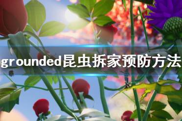 《禁閉求生》昆蟲拆家怎么辦 grounded昆蟲拆家預(yù)防方法一覽