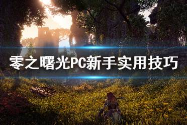 《地平線零之曙光》PC新手怎么玩 PC新手實(shí)用技巧介紹