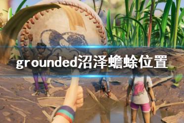 《禁閉求生》沼澤蟾蜍在哪 grounded沼澤蟾蜍位置分享