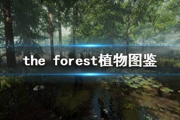 《森林》游戲植物有什么 the forest植物圖鑒分享(2)