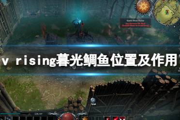 《吸血鬼崛起》v rising暮光鯛魚有什么用？v rising暮光鯛魚位置及作用