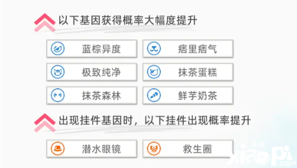 《貓之城》海灣救助主題貓怎么得到？海灣救助主題貓獲取攻略