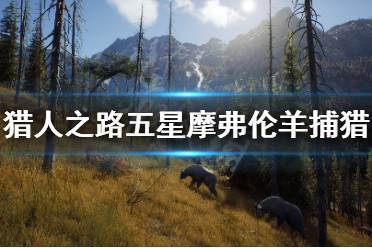 《獵人之路》五星摩弗倫羊怎么抓？五星摩弗倫羊捕獵方法介紹