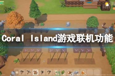  以上就是Coral Island游戲聯(lián)機功能一覽全部內(nèi)容