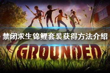 修復(fù)材料為1個大葉藻條、1個錦鯉鱗片